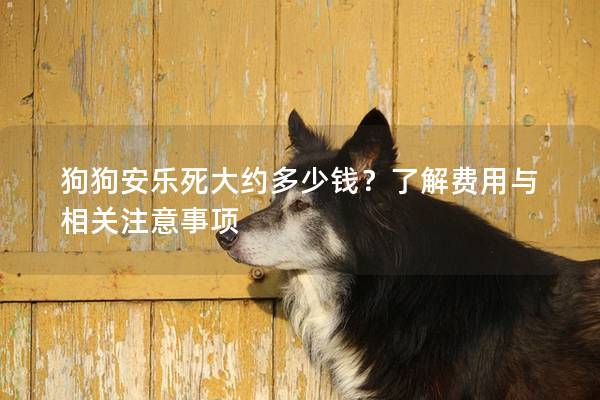 狗狗安樂死大約多少錢？了解費用與相關注意事項