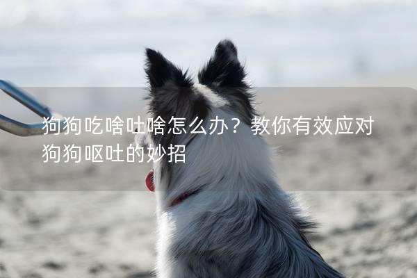 狗狗吃啥吐啥怎么辦？教你有效應對狗狗嘔吐的妙招