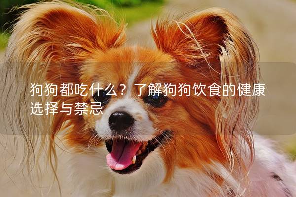 狗狗都吃什么？了解狗狗飲食的健康選擇與禁忌