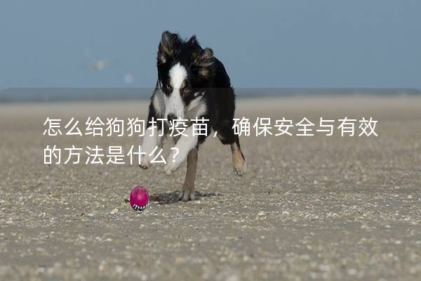 怎么給狗狗打疫苗，確保安全與有效的方法是什么？