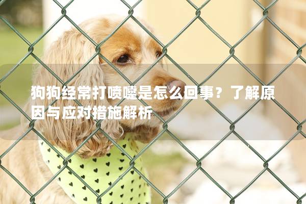 狗狗經(jīng)常打噴嚏是怎么回事？了解原因與應(yīng)對措施解析
