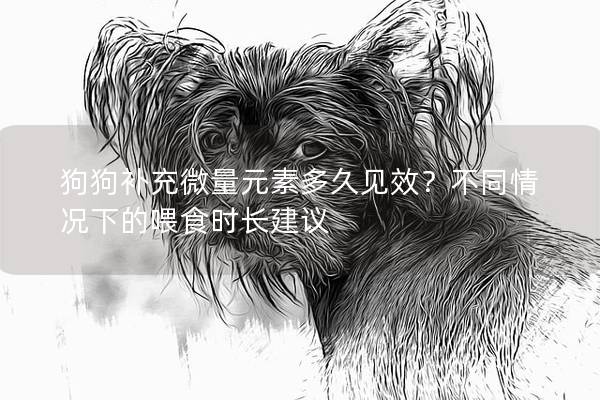 狗狗補充微量元素多久見效？不同情況下的喂食時長建議
