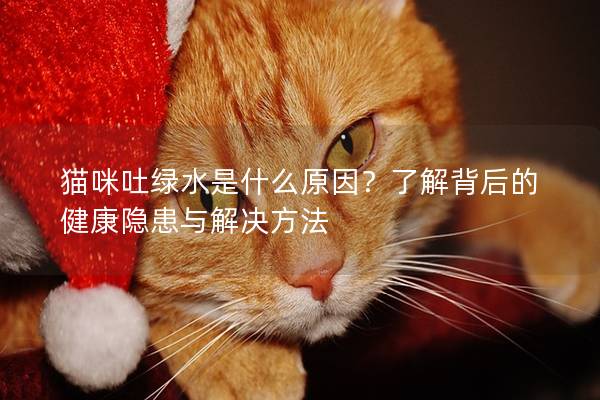 貓咪吐綠水是什么原因？了解背后的健康隱患與解決方法