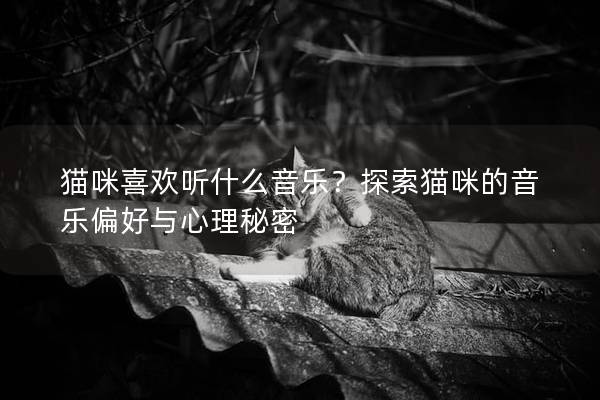 貓咪喜歡聽什么音樂？探索貓咪的音樂偏好與心理秘密