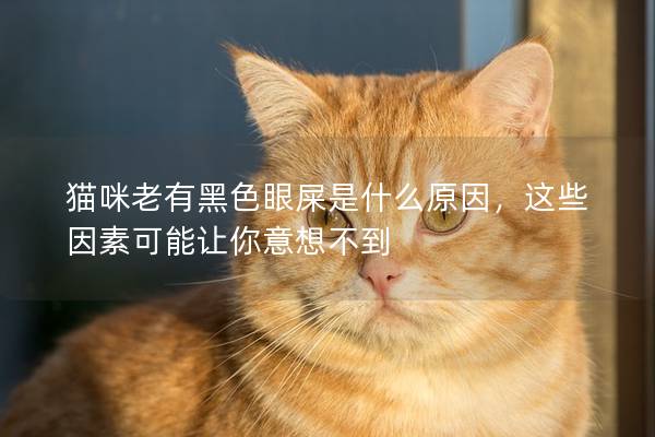貓咪老有黑色眼屎是什么原因，這些因素可能讓你意想不到