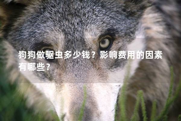 狗狗做驅(qū)蟲(chóng)多少錢(qián)？影響費(fèi)用的因素有哪些？