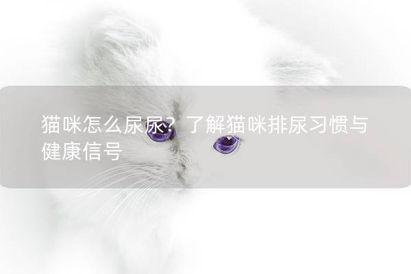 貓咪怎么尿尿？了解貓咪排尿習(xí)慣與健康信號