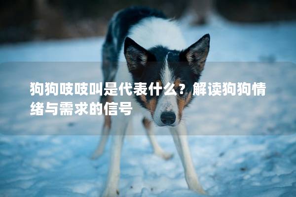 狗狗吱吱叫是代表什么?解讀狗狗情緒與需求的信號 狗狗吱吱叫是代表什么?解讀狗狗情緒與需求的信號