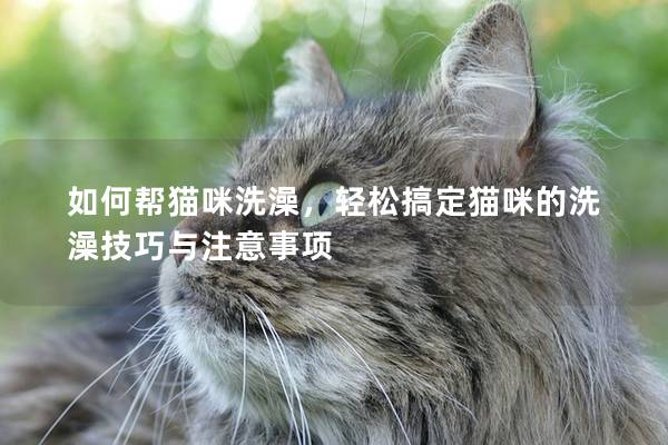 如何幫貓咪洗澡，輕松搞定貓咪的洗澡技巧與注意事項