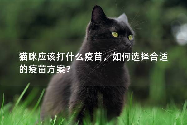 貓咪應(yīng)該打什么疫苗，如何選擇合適的疫苗方案？