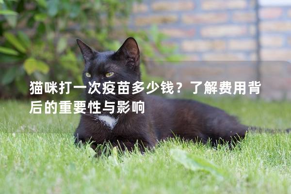 貓咪打一次疫苗多少錢？了解費用背后的重要性與影響
