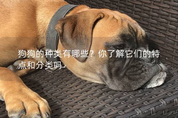 狗狗的種類有哪些？你了解它們的特點和分類嗎