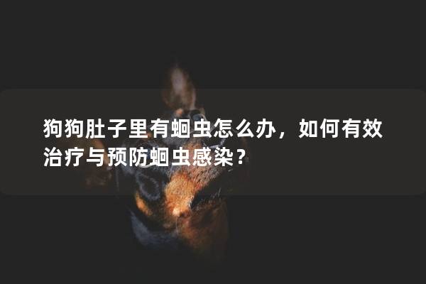 狗狗肚子里有蛔蟲(chóng)怎么辦,如何有效治療與預(yù)防蛔蟲(chóng)感染? 狗狗肚子里有蛔蟲(chóng)怎么辦,如何有效治療與預(yù)防蛔蟲(chóng)感染?