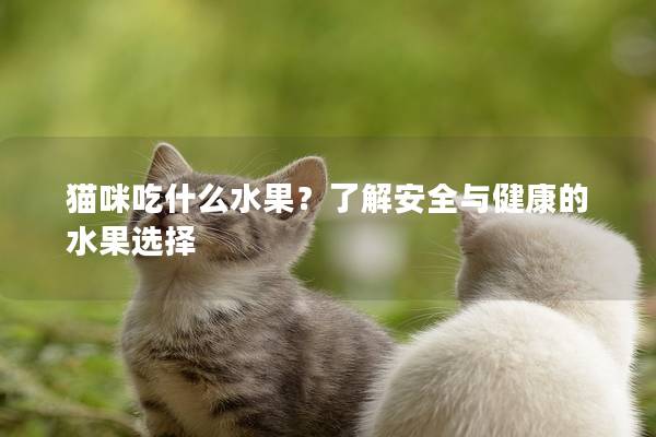 貓咪吃什么水果？了解安全與健康的水果選擇