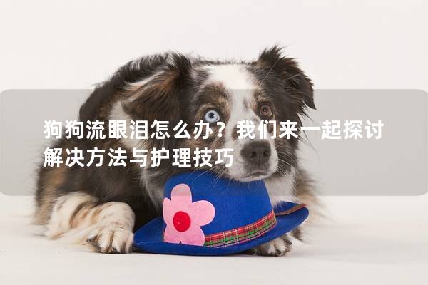 狗狗流眼淚怎么辦？我們來一起探討解決方法與護理技巧