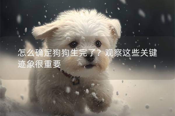 怎么確定狗狗生完了？觀察這些關鍵跡象很重要