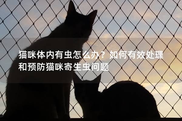 貓咪體內有蟲怎么辦？如何有效處理和預防貓咪寄生蟲問題
