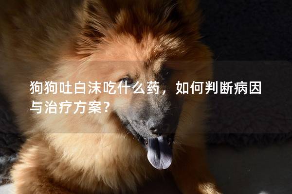 狗狗吐白沫吃什么藥，如何判斷病因與治療方案？