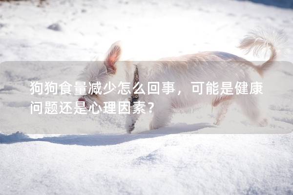 狗狗食量減少怎么回事，可能是健康問題還是心理因素？