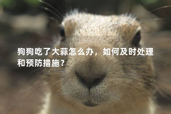 狗狗吃了大蒜怎么辦，如何及時(shí)處理和預(yù)防措施？