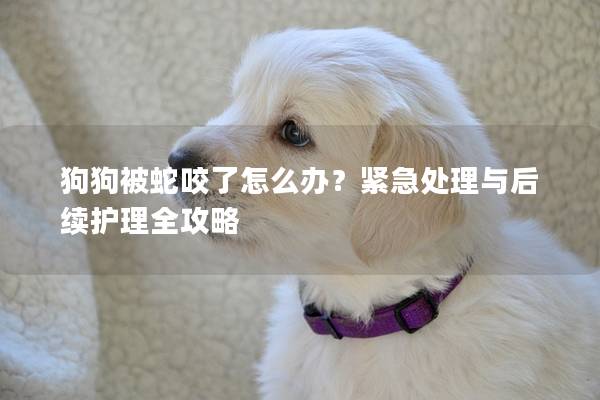 狗狗被蛇咬了怎么辦?緊急處理與后續護理全攻略 狗狗被蛇咬了怎么辦?緊急處理與后續護理全攻略