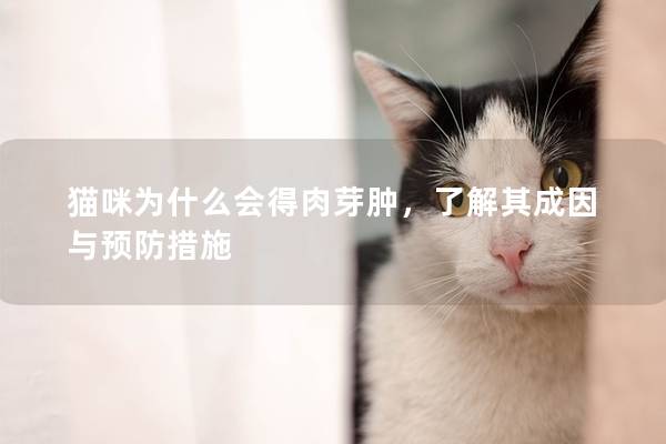 貓咪為什么會(huì)得肉芽腫，了解其成因與預(yù)防措施