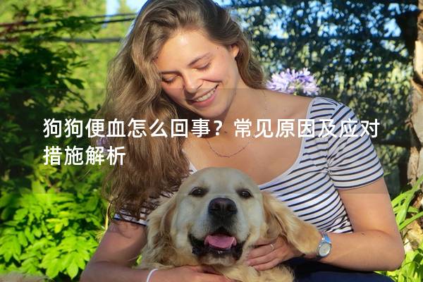 狗狗便血怎么回事？常見原因及應(yīng)對(duì)措施解析