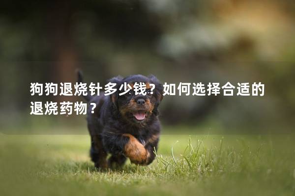 狗狗退燒針多少錢(qián)？如何選擇合適的退燒藥物？