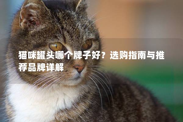 貓咪罐頭哪個(gè)牌子好？選購(gòu)指南與推薦品牌詳解