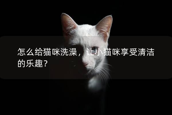 怎么給貓咪洗澡，讓小貓咪享受清潔的樂趣？