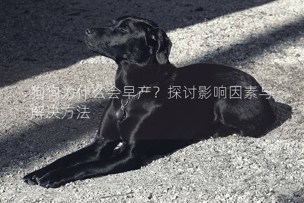 狗狗為什么會(huì)早產(chǎn)？探討影響因素與解決方法