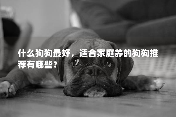什么狗狗最好,適合家庭養的狗狗推薦有哪些? 什么狗狗最好,適合家庭養的狗狗推薦有哪些?