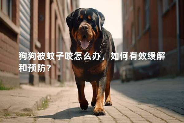 狗狗被蚊子咬怎么辦,如何有效緩解和預防? 狗狗被蚊子咬怎么辦,如何有效緩解和預防?