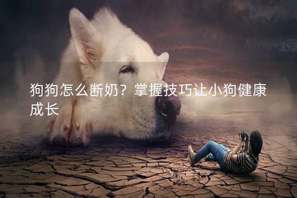 狗狗怎么斷奶？掌握技巧讓小狗健康成長(zhǎng)