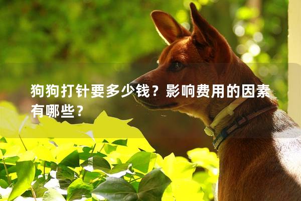 狗狗打針要多少錢？影響費(fèi)用的因素有哪些？