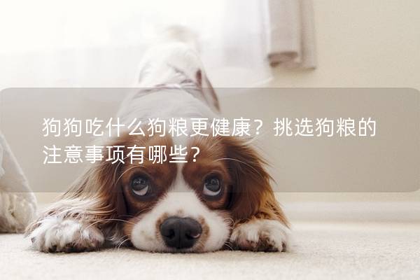 狗狗吃什么狗糧更健康？挑選狗糧的注意事項有哪些？