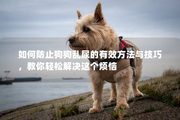 如何防止狗狗亂尿的有效方法與技巧，教你輕松解決這個煩惱