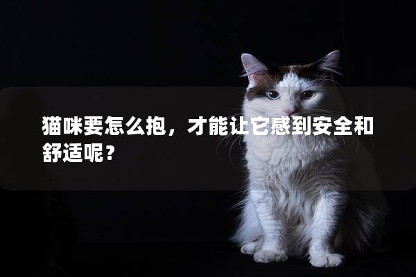 貓咪要怎么抱,才能讓它感到安全和舒適呢? 貓咪要怎么抱,才能讓它感到安全和舒適呢?