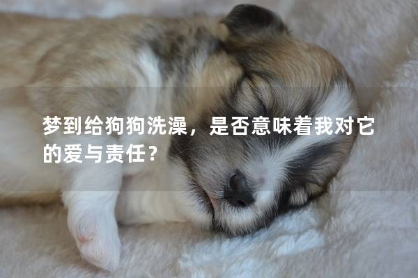 夢到給狗狗洗澡,是否意味著我對它的愛與責任? 夢到給狗狗洗澡,是否意味著我對它的愛與責任?