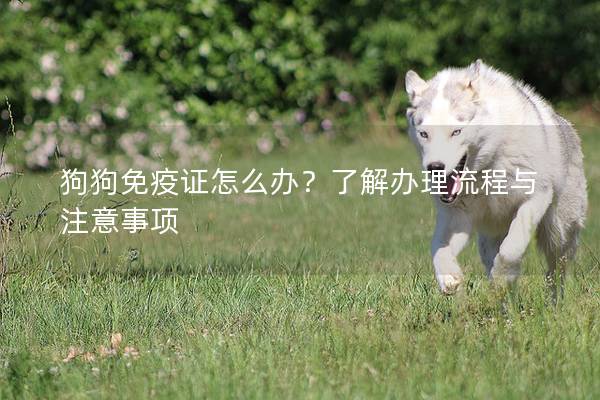 狗狗免疫證怎么辦？了解辦理流程與注意事項(xiàng)