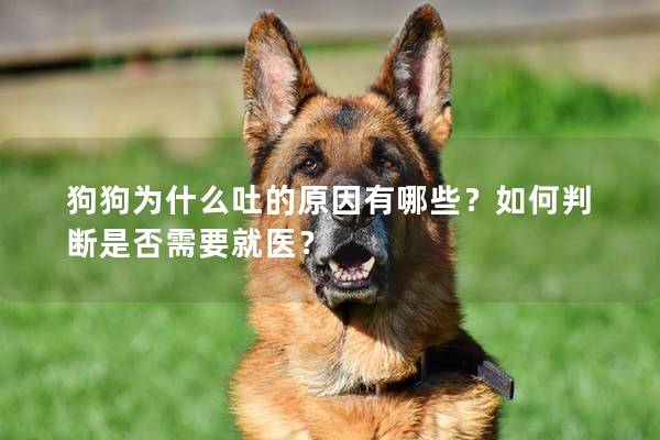 狗狗為什么吐的原因有哪些?如何判斷是否需要就醫(yī)? 狗狗為什么吐的原因有哪些?如何判斷是否需要就醫(yī)?