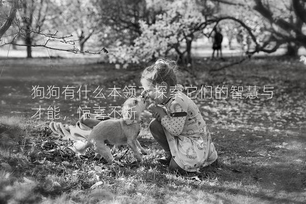 狗狗有什么本領？探索它們的智慧與才能，驚喜不斷