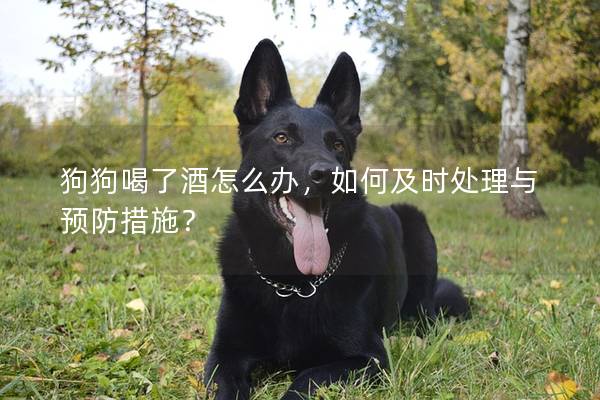 狗狗喝了酒怎么辦，如何及時(shí)處理與預(yù)防措施？