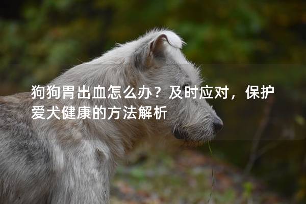 狗狗胃出血怎么辦？及時(shí)應(yīng)對(duì)，保護(hù)愛(ài)犬健康的方法解析
