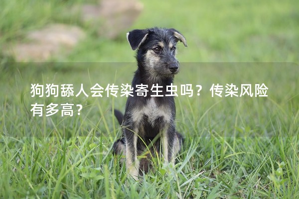 狗狗舔人會(huì)傳染寄生蟲(chóng)嗎？傳染風(fēng)險(xiǎn)有多高？