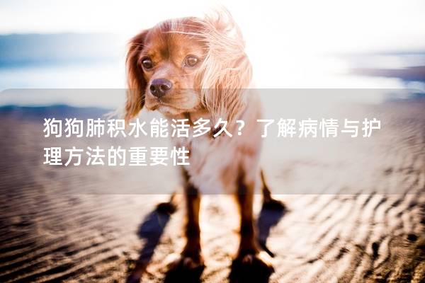 狗狗肺積水能活多久？了解病情與護理方法的重要性