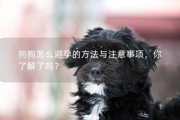 狗狗怎么避孕的方法與注意事項，你了解了嗎？