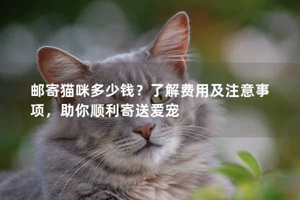 郵寄貓咪多少錢？了解費用及注意事項，助你順利寄送愛寵