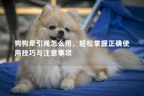 狗狗牽引繩怎么用，輕松掌握正確使用技巧與注意事項(xiàng)