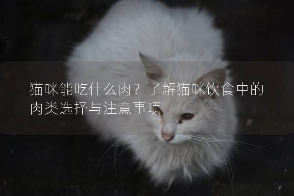 貓咪能吃什么肉？了解貓咪飲食中的肉類選擇與注意事項(xiàng)